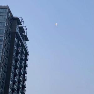 夏末的歌