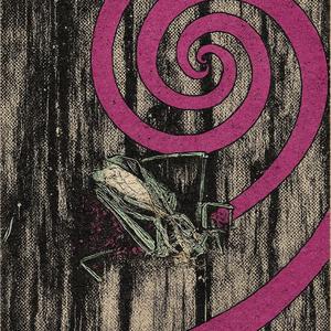 Where My Ruin Begins