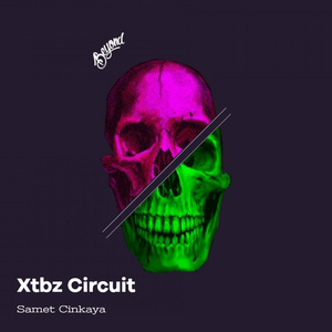 Xtbz Circuit