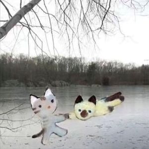 tell me why want u die