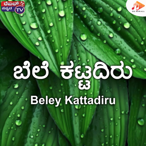 Beley Kattadiru