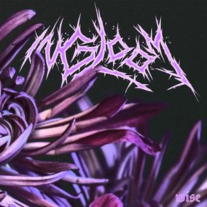 Wise (feat. Pon Zimora)