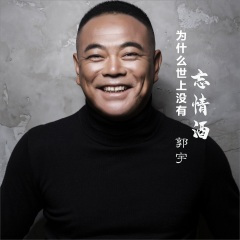 为什么世上没有忘情酒 (DJ何鹏版)