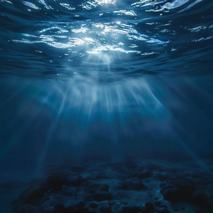 夜与海的轻柔低语