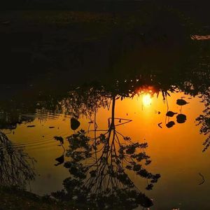 宁静的夜-整曲 伴奏