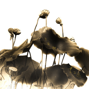 铁道上私奔的男女