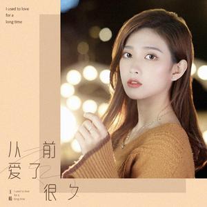 从前爱了很久