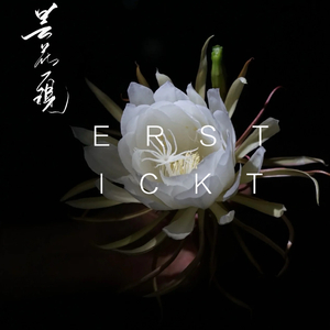 昙花一现