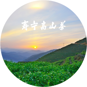 茶香寿宁