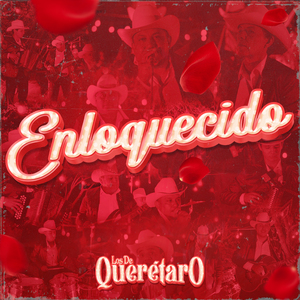 Enloquecido