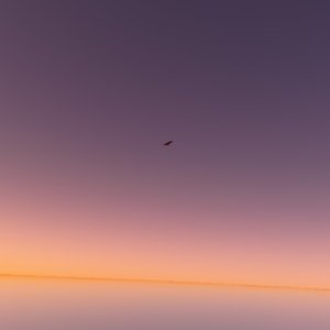 怎么才能装得像个大人