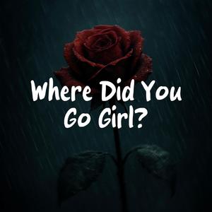 Where Did You Go Girl?
