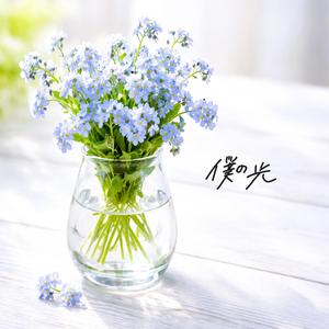 僕の光