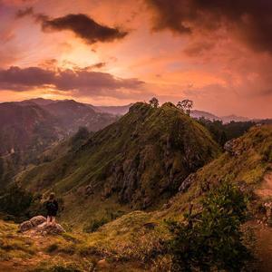 不是山谷（cover而生/黎冻紧）