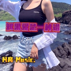 这曲很有节奏感 (DJ慢摇版)
