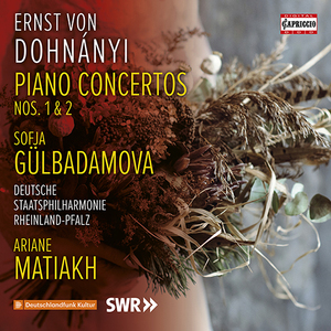 Piano Concerto No. 1 in E Minor, Op. 5:II. Andante