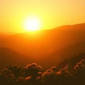 Love Is Like The Sun