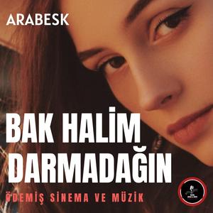 BİR BAK HALİM DARMADAĞIN