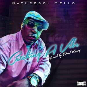 Catching A Vibe (feat. Produced by Paul Kersey)
