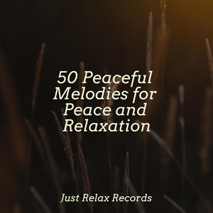 Enraptured Harmonies Unite