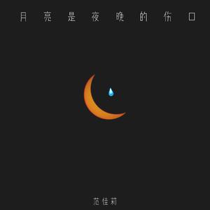 月亮是夜晚的伤口（Don't Panic）