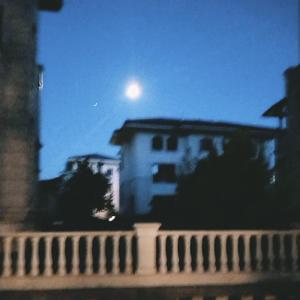 月上柳梢头 皆若空游无所依（prod by Nino）