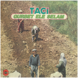 Bir Yiğit Gurbete Gitse