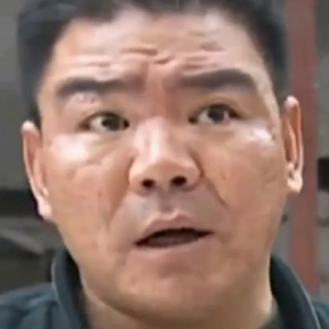 你贤惠我还贤惠呢（王天野 remix）