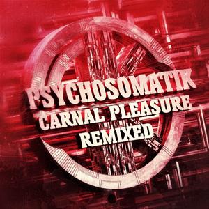 CARNAL PLEASURE (BLUE ANT Remix)