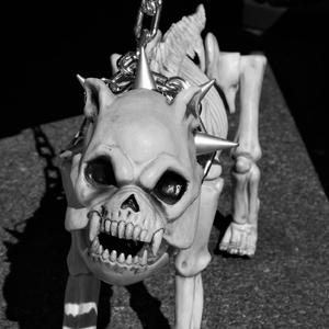 Paranormal activities