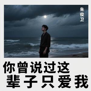你曾说过这辈子只爱我 (DJ浩然版)