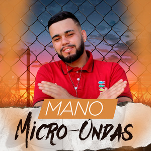 Mano Micro-Ondas