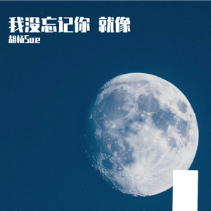 我没忘记你 就像
