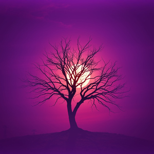 Обниматься с пустотой