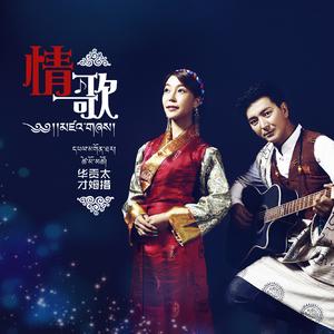 情歌 伴奏