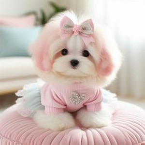 El Empiezo (sped up)