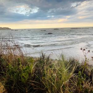 你的样子（cover 罗大佑）