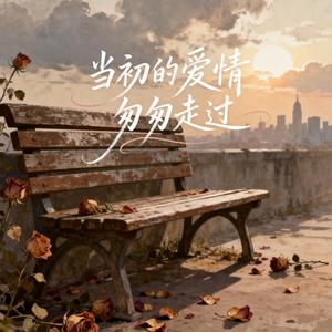 当初的爱情匆匆走过（原版）