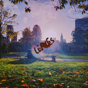 落叶Leaves