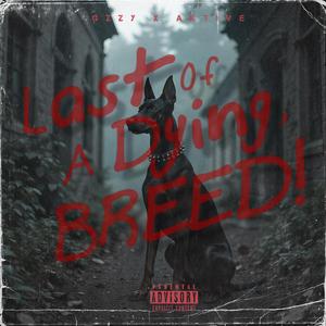 762 (feat. AktiveTheBoss)