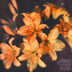 Memórias da Cor de Seu Vestido