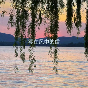 写在风中的信 (典藏氛围版)