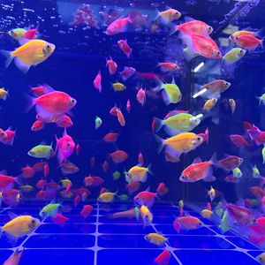 逃出了日复一日