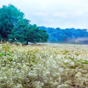 Warm Vibes for Sleeping