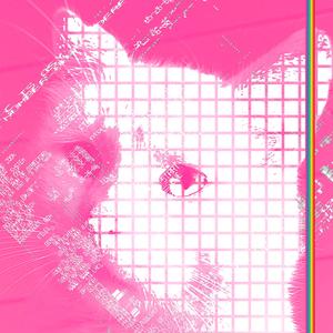 Shmup Em Up!