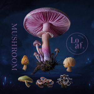 Pink Oyster Mushroom