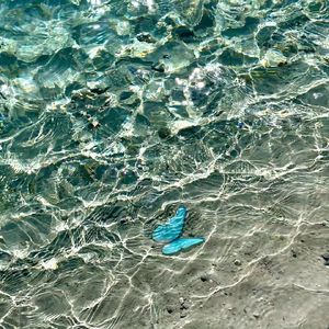 风声（雷雨+钢琴独奏助眠）