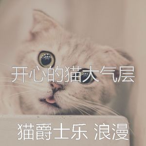 柔和的猫时刻