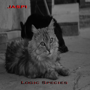 Jaspi