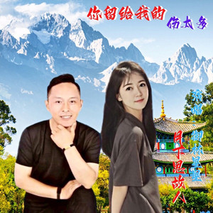 你留给我的伤太多